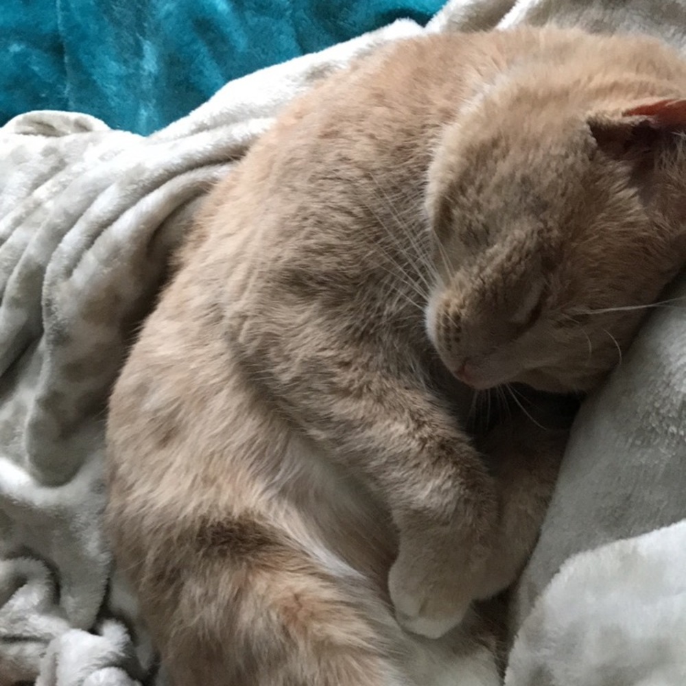 Meet your Posher, Ali